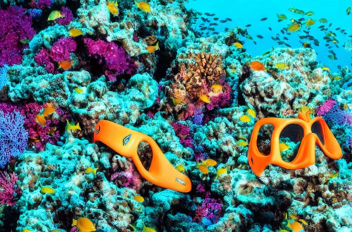 Fra snorkel til dykkermaske: Sådan kan du gradvist forbedre din undervandsoplevelse